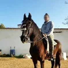 Hanna, 31